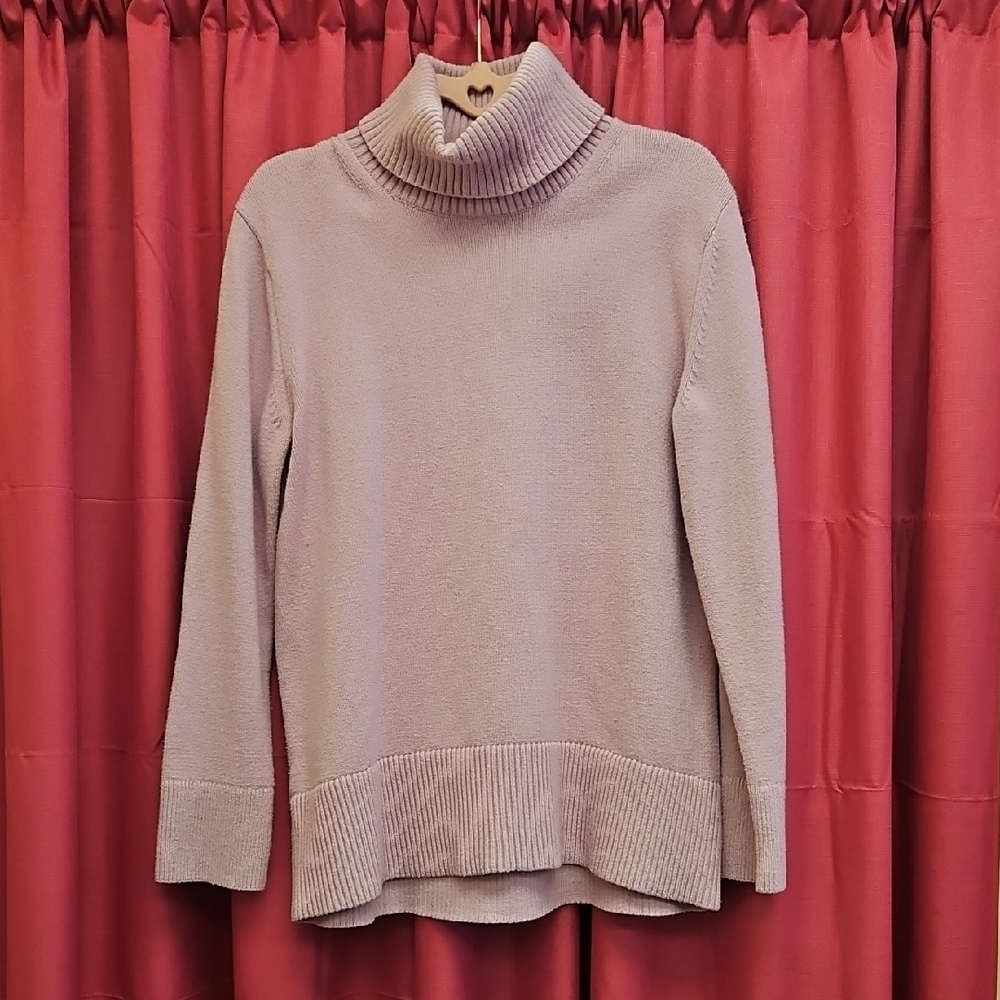 Banana Republic Cotton Blend Turtleneck
